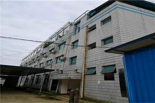 河南房屋質量安全檢測 河南房屋質量檢測鑒定報告 河南房屋質量第三方檢測 新聞快訊