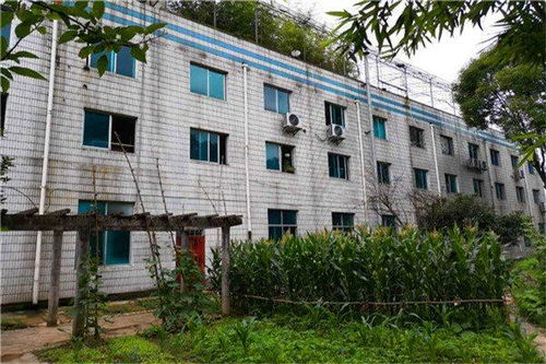 福建廠房倒塌后安全檢測(cè)鑒定 福建鋼結(jié)構(gòu)工程檢測(cè)項(xiàng)目 福建鋼結(jié)構(gòu)廠房檢測(cè)價(jià)格 新聞快報(bào)